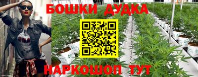каннабис Сланцы