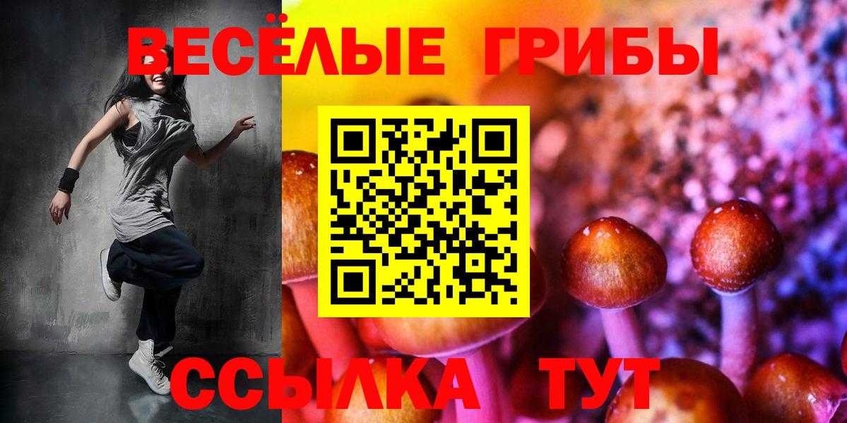 Артёмовский  Галлюциногенные грибы Magic Shrooms  Вход с VPN  Галлюциногенные грибы MAGIC MUSHROOMS 